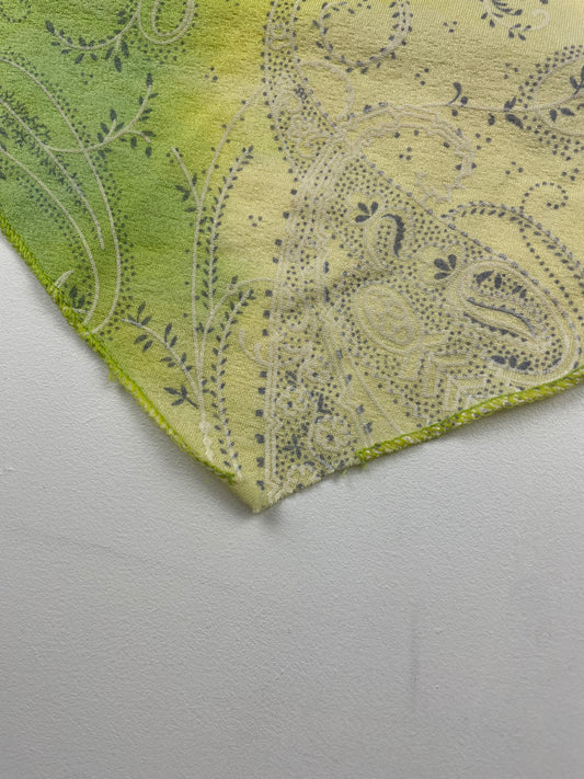 Asymmetric Multi-colour Cami