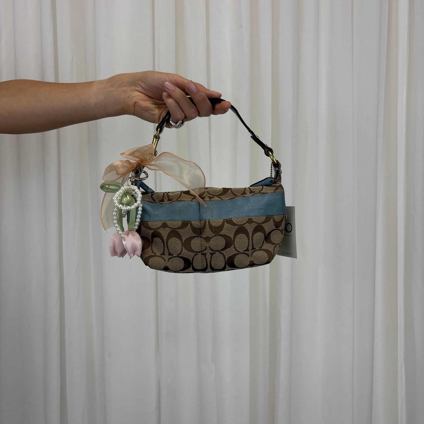 Coach Signature East West Blue Mini Bag