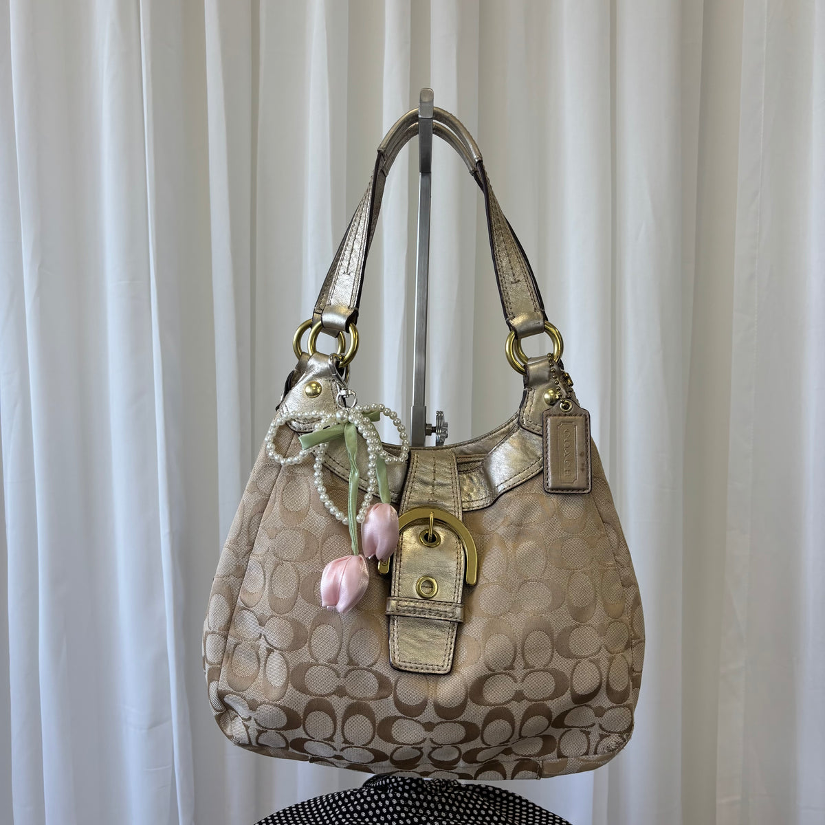 Coach Signature Soho Lynn Small Tote
