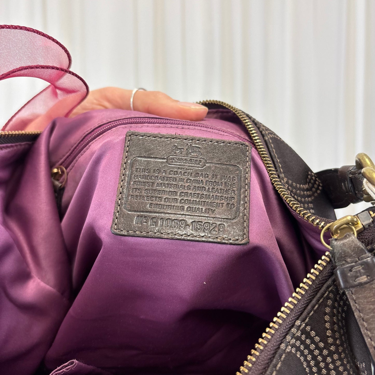 Coach Pleated Hobo Shoulder Bag