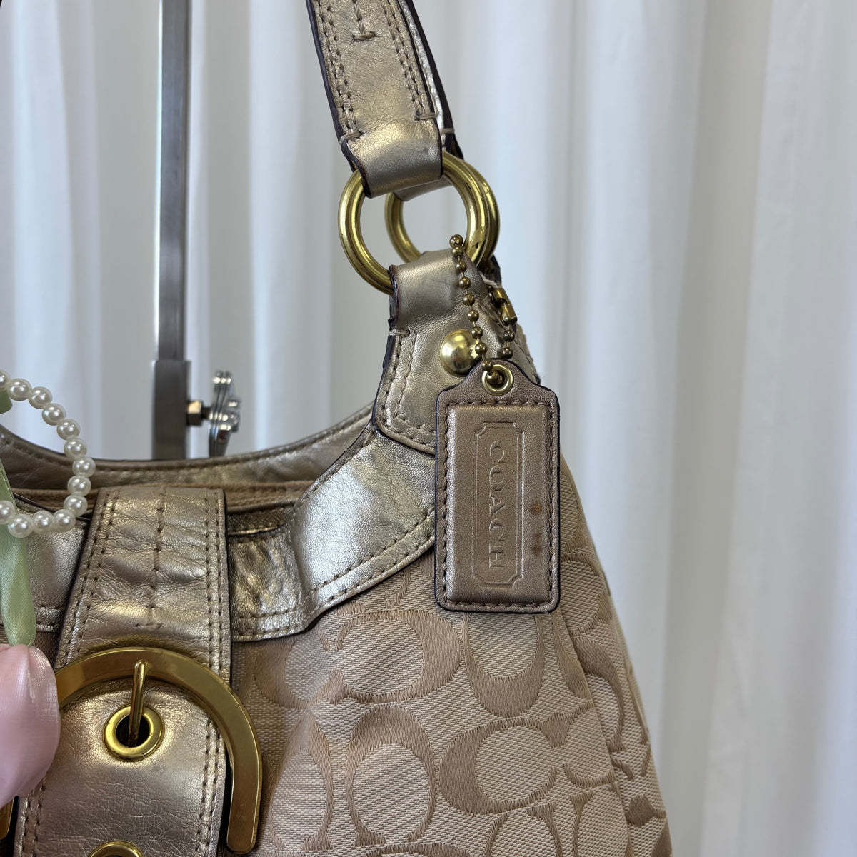 Coach Signature Soho Lynn Small Tote