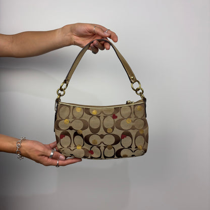Coach Signature Limited Edition Hobo Bag