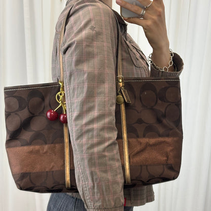 Coach Signature Large Stripe Tote Bag