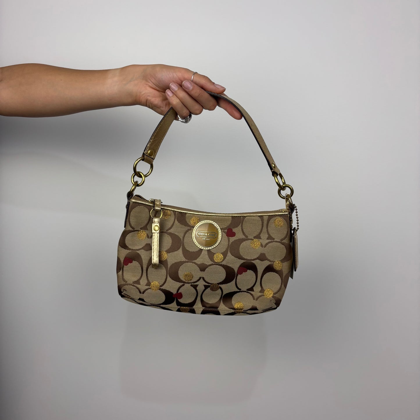 Coach Signature Limited Edition Hobo Bag