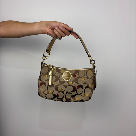 Coach Signature Limited Edition Hobo Bag
