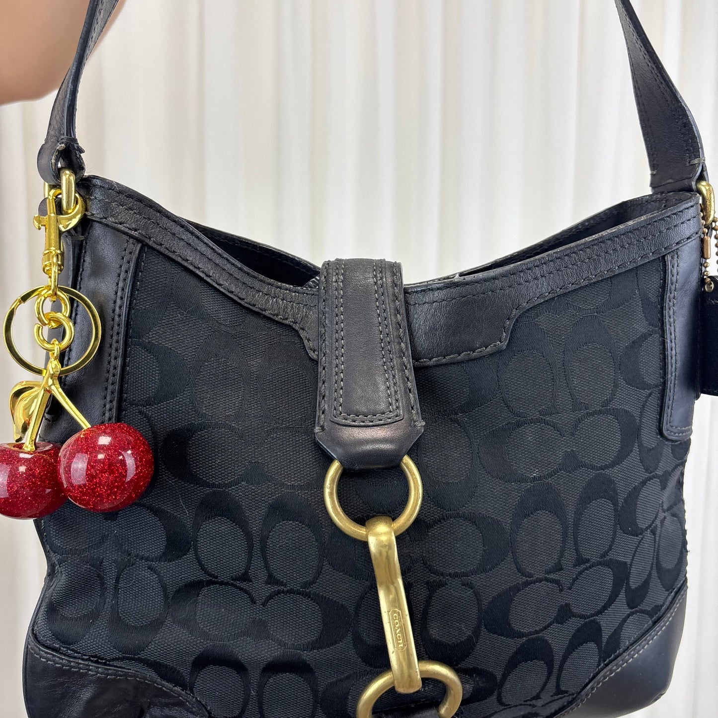 Coach Signature Hamptons Hobo Bag