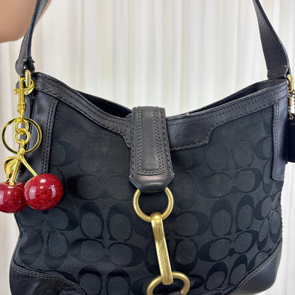 Coach Signature Hamptons Hobo Bag