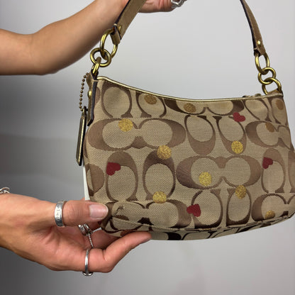 Coach Signature Limited Edition Hobo Bag