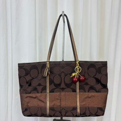 Coach Signature Large Stripe Tote Bag