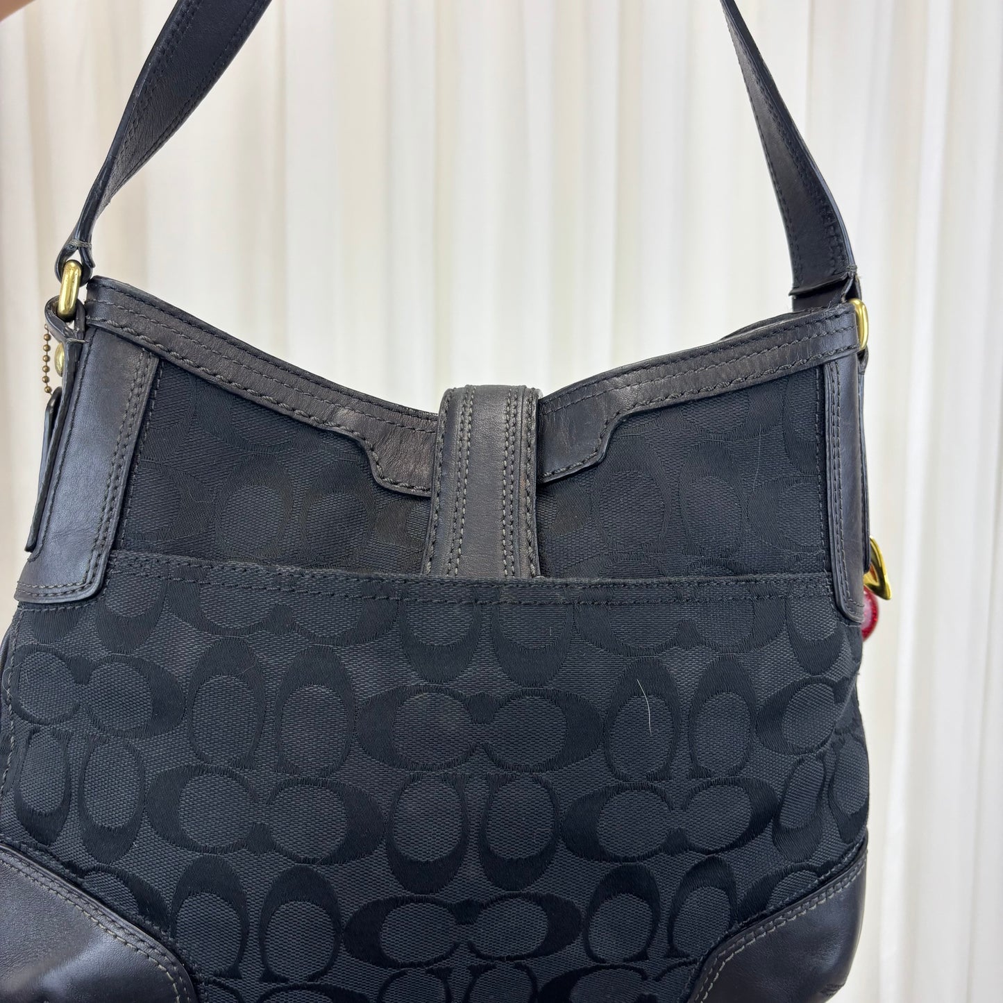 Coach Signature Hamptons Hobo Bag