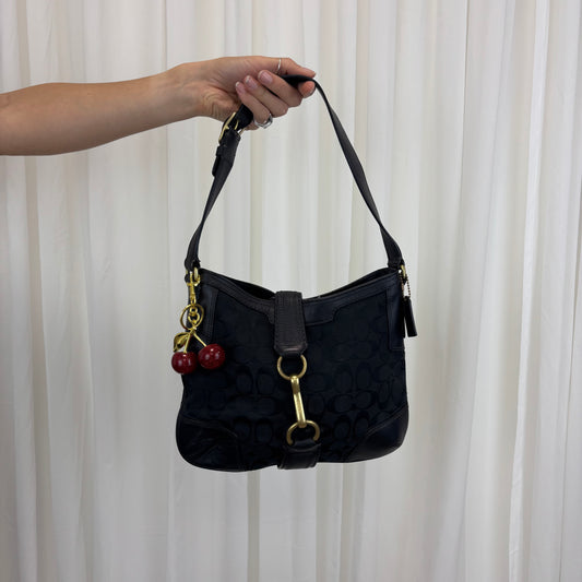 Coach Signature Hamptons Hobo Bag