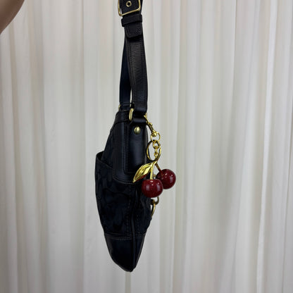 Coach Signature Hamptons Hobo Bag