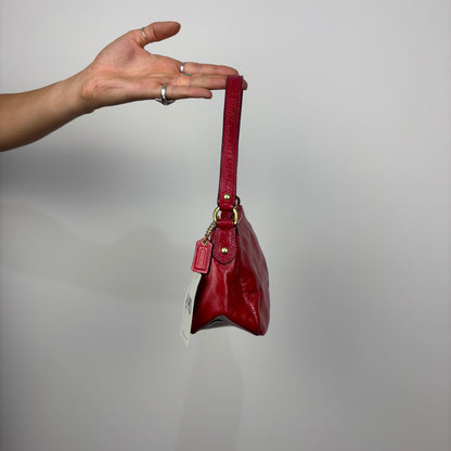 Coach Ashley Patent Leather Demi Bag