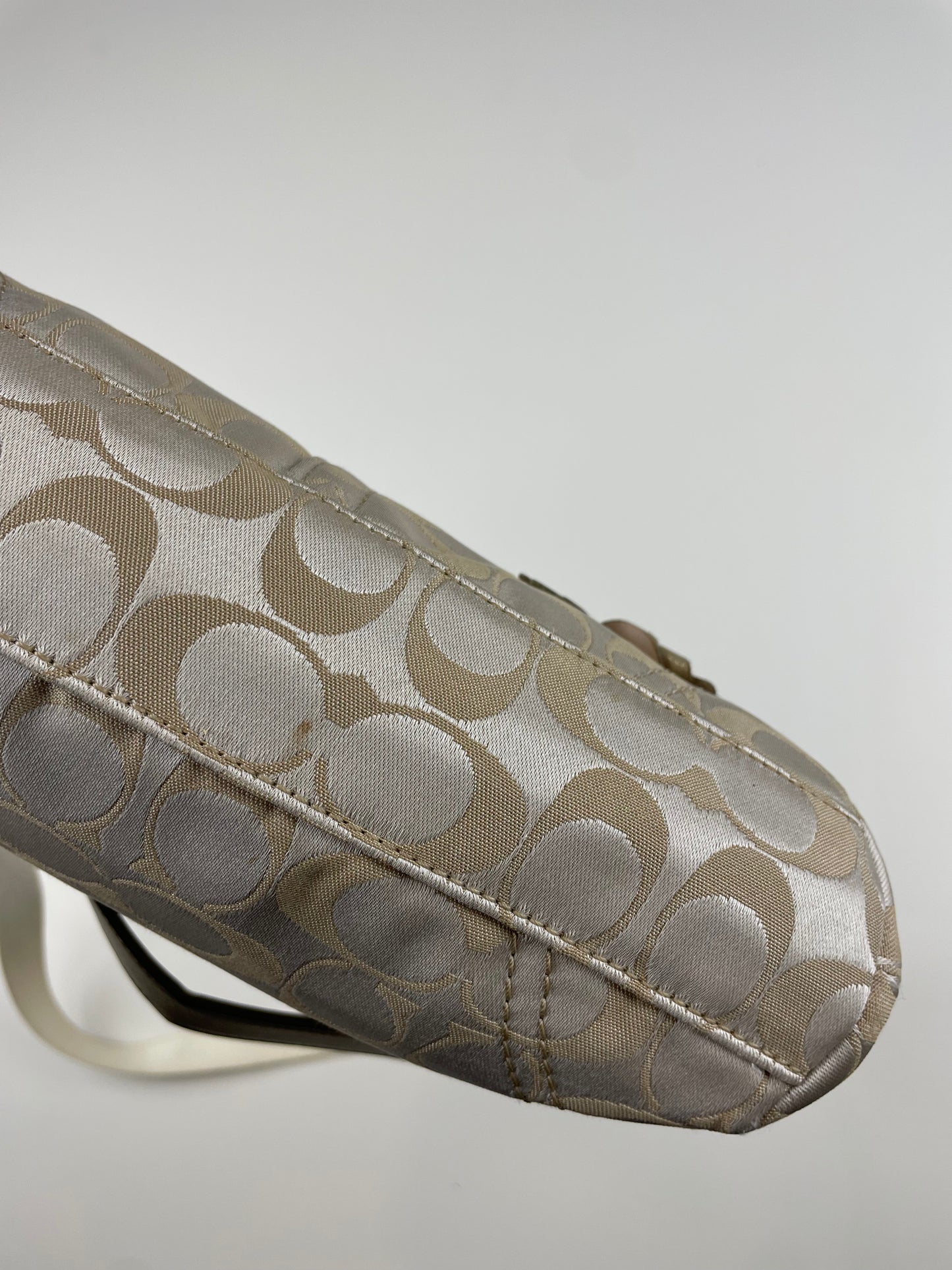 Coach Floral Demi Bag