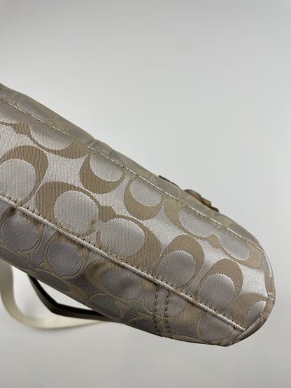 Coach Floral Demi Bag