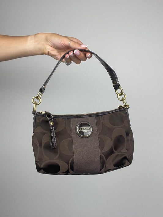 Coach Signature Brown Stripe