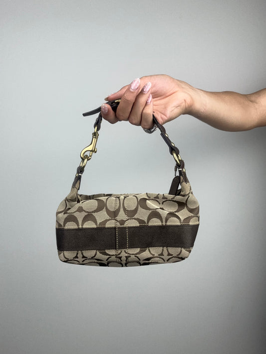 Coach Signature Mini Brown Stripe Hobo Bag